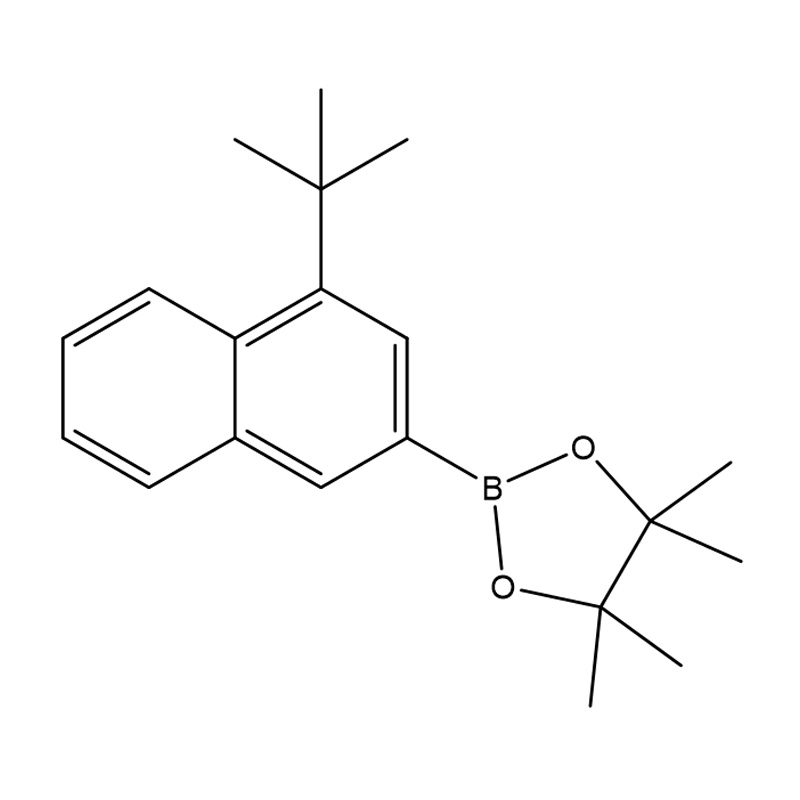 2-(4-(terc-butyl)naftalen-2-yl)-4,4,5,5-tetramethyl-1,3,2-dioxaborolan