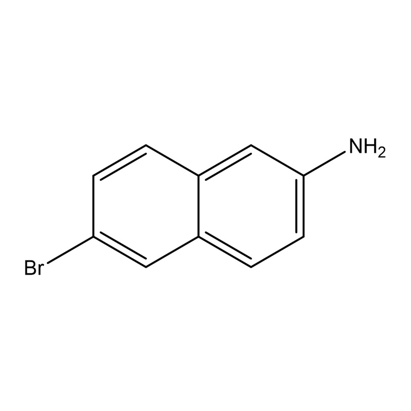 6-Bromnaftalen-2-amin