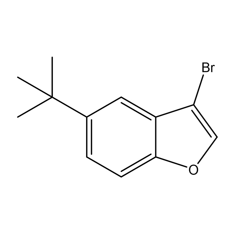 3-Brom-5-terc-butylbenzofuran